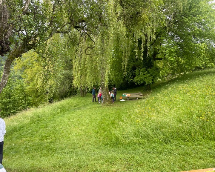 GrünraumBienenweg Lehrpfad Waidhofen an der Ybbs