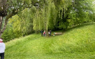 GrünraumBienenweg Lehrpfad Waidhofen an der Ybbs