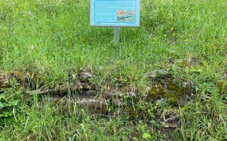 Lehrtafel Bienenweg Lehrpfad Waidhofen an der Ybbs