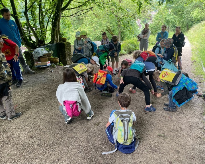 Umweltpädagogische Übung Natur im Garten Bienenweg Lehrpfad Waidhofen an der Ybbs
