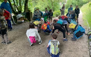 Umweltpädagogische Übung Natur im Garten Bienenweg Lehrpfad Waidhofen an der Ybbs