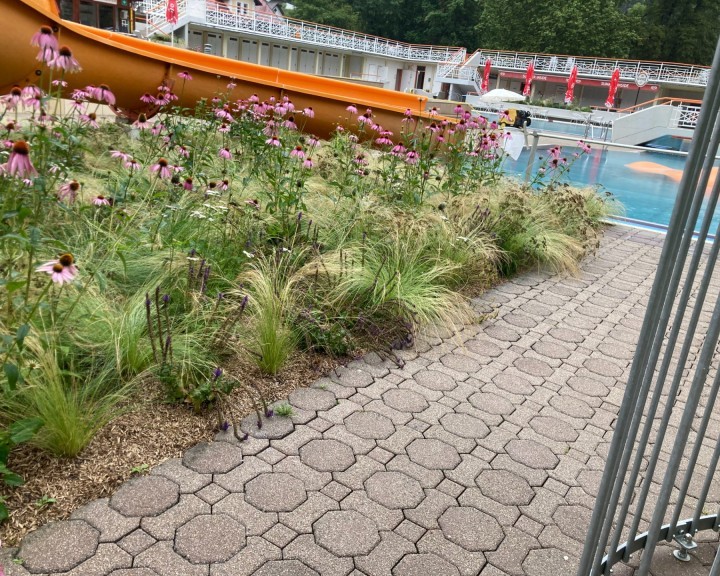 Freibad Waidhofen Rutsche Stauden Revitalisierung 