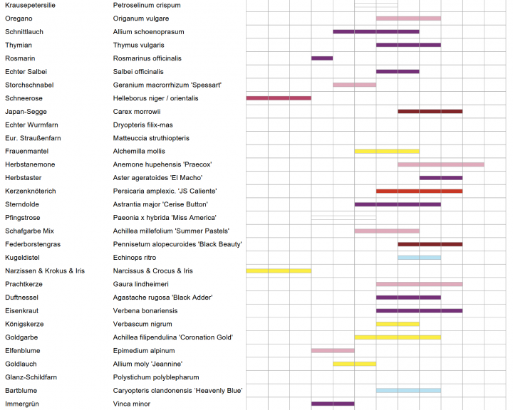 Blütenkalender Garten privat 