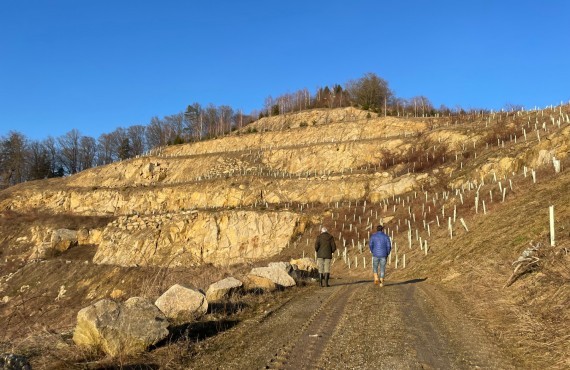 Aufnahme Analyse Steinbruck