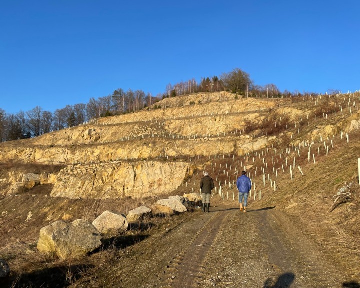 Aufnahme Analyse Steinbruck