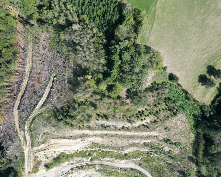 Luftbildaufnahme Analyse Steinbruck Gutachten