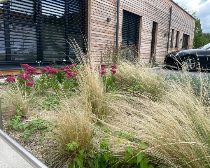 Staudenbeete klimafit Tageszentrum Ernsthofen