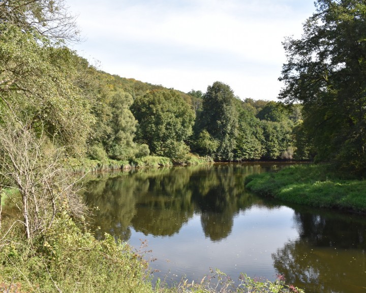 Landschaft Nationalpark Thayatal Gewässer