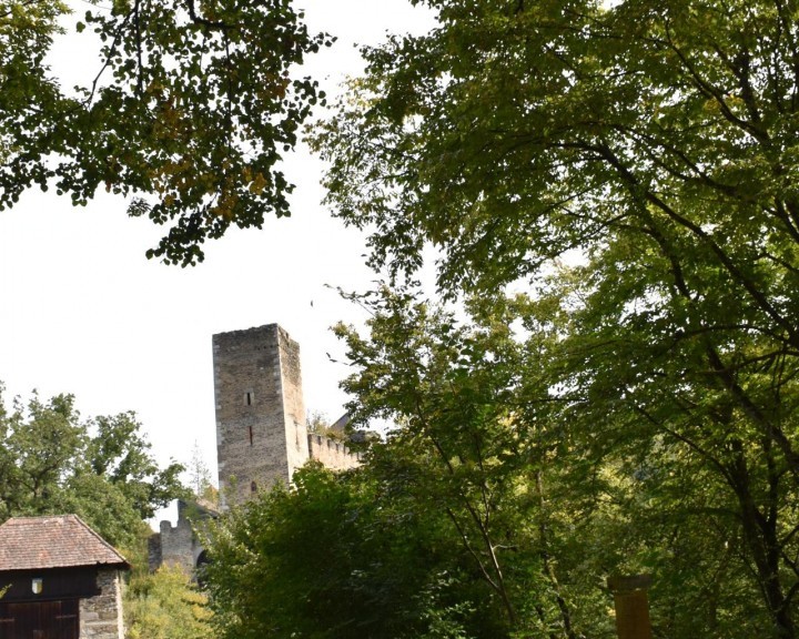 Landschaft Nationalpark Thayatal Gewässer Gehölze