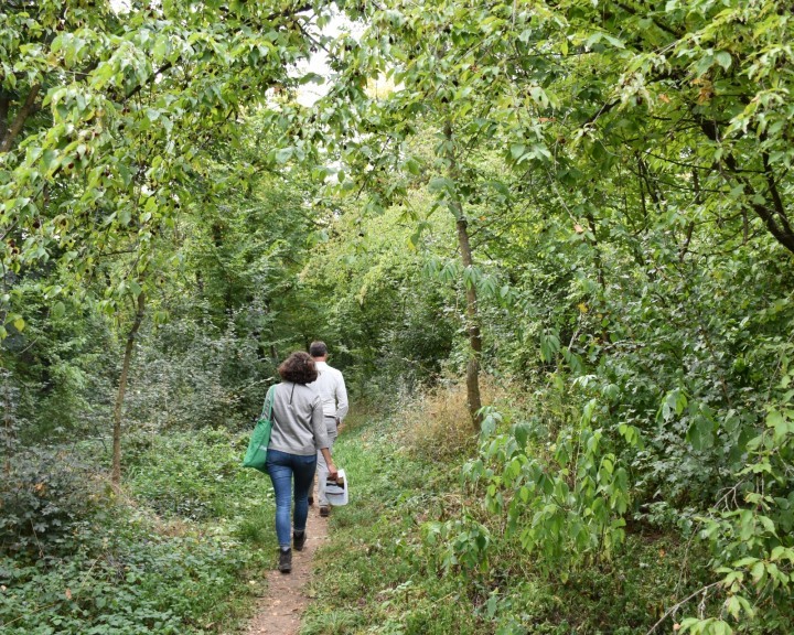 Landschaft Nationalpark Thayatal Gewässer Trampelpfad Wald