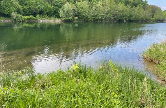 Naturbad Allhartsberg Wasser Ybbs