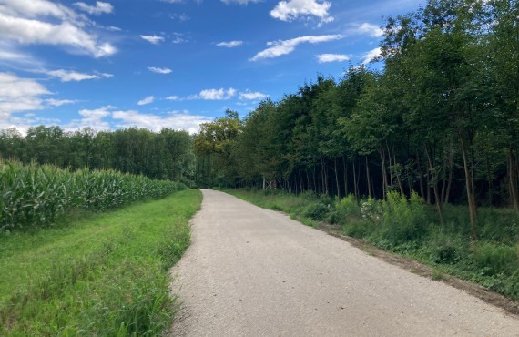 sickerfähiger Belad Radweg Vorderer Ybbstalradweg
