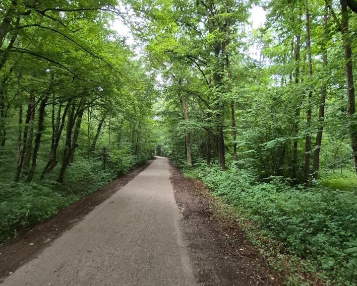 Wassergebundene Decke Radweg Vorderer Ybbstalradweg