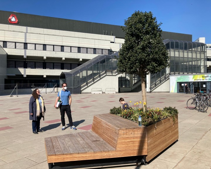 Freiraummöblierung Beschattung Gehölz Trog Staudenbeet