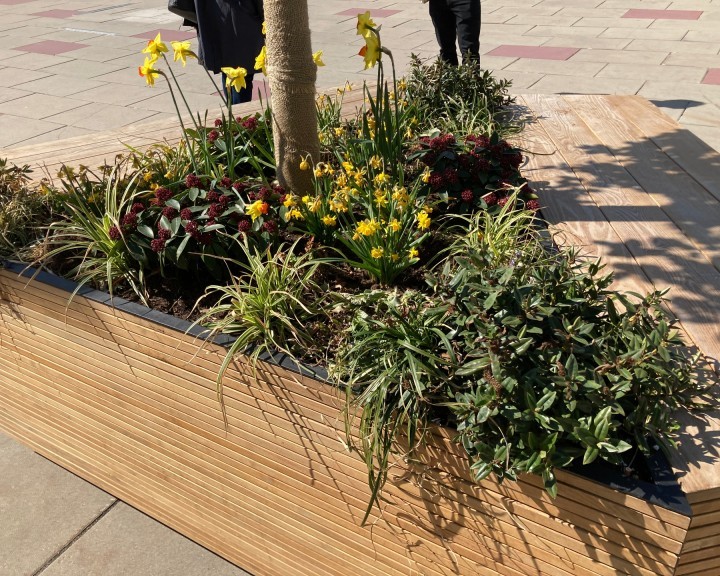 Freiraummöblierung Beschattung Gehölz Trog Staudenbeet