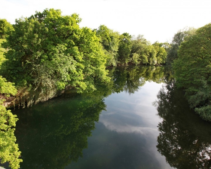 Natur Landschaft Lunz am See