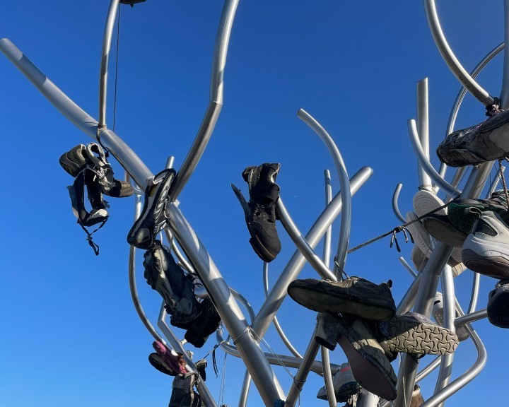 Augenblicke Kollmitzberg Wanderbaum Wanderweg