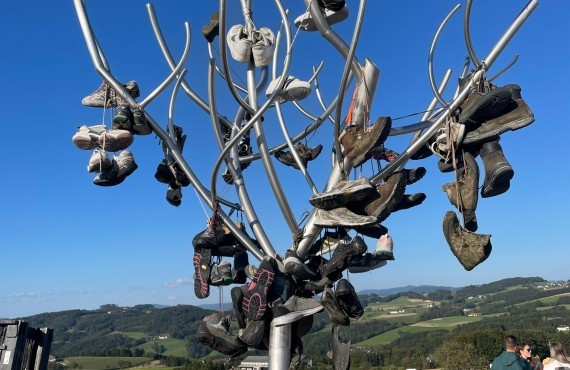Augenblicke Kollmitzberg Wanderbaum 