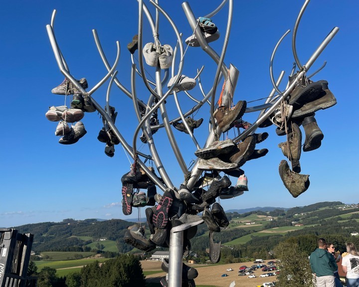 Augenblicke Kollmitzberg Wanderbaum 