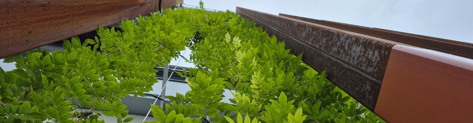 Panorama Fassade Neunkirchen