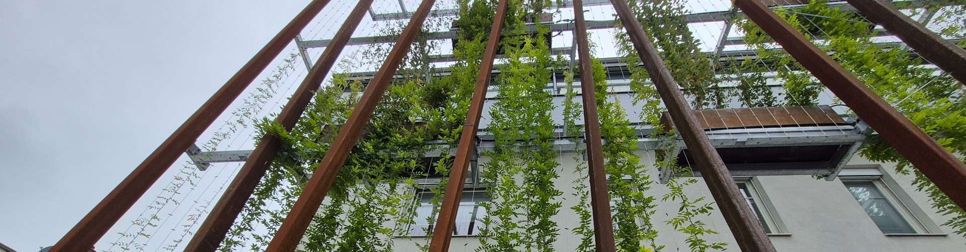 Panorama Fassade Neunkirchen (2)