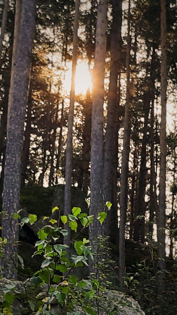 Mystische Fantasy-Welt