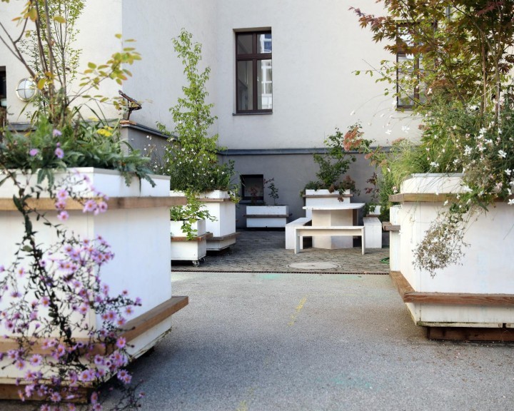 Pflanztrog Innenhof Gymnasium Waidhofen Begrünung