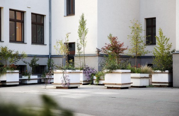 Pflanztrog Innenhof Gymnasium Waidhofen Begrünung Beschattung
