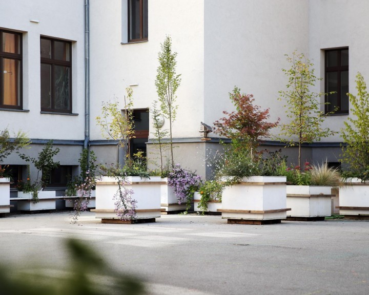 Pflanztrog Innenhof Gymnasium Waidhofen Begrünung Beschattung