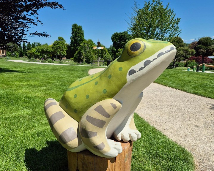 Frosch Starkl Aschbach
