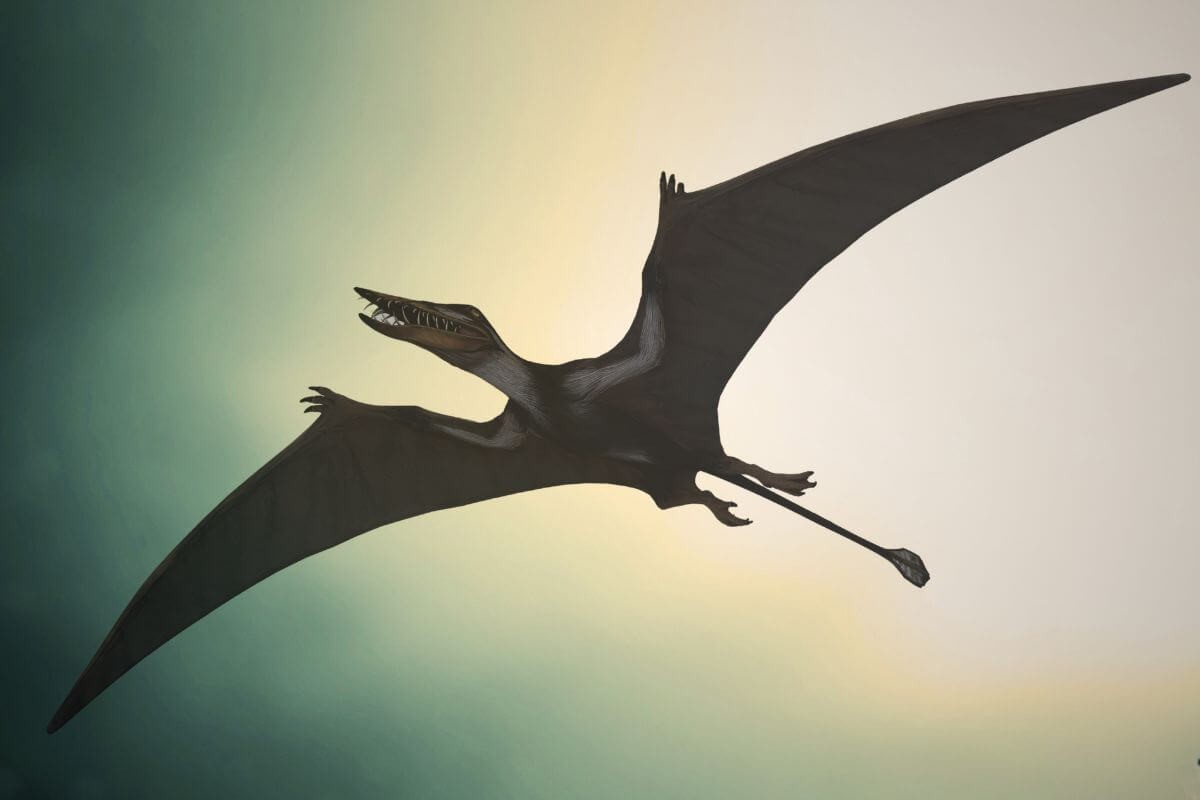 Flugsaurier