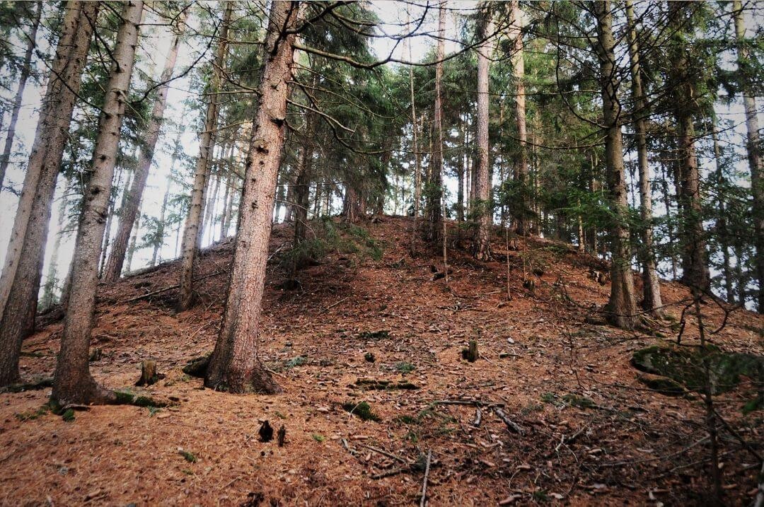 Kuppe des Feinasberges