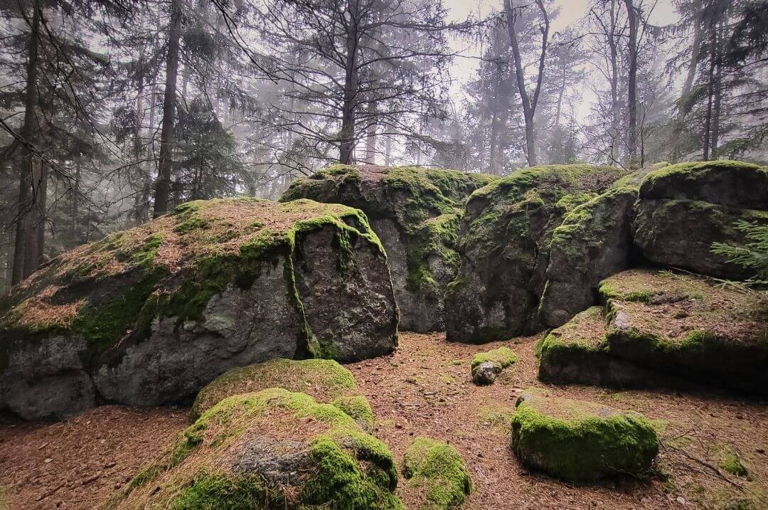 Ein mystischer Platz im Wald einer Fantasywelt
