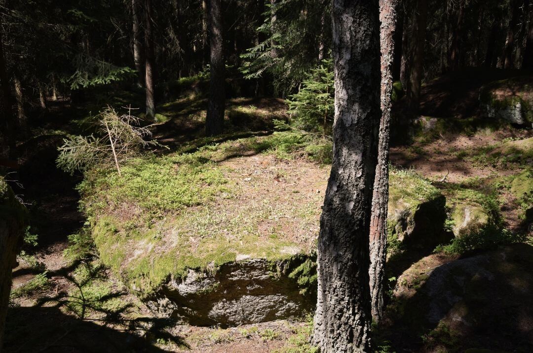 Waldstimmung