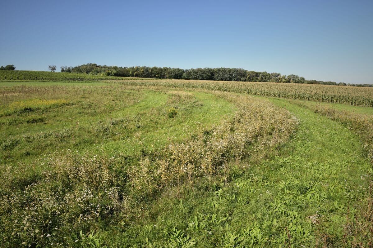 Kreisgarben Glaubendorf