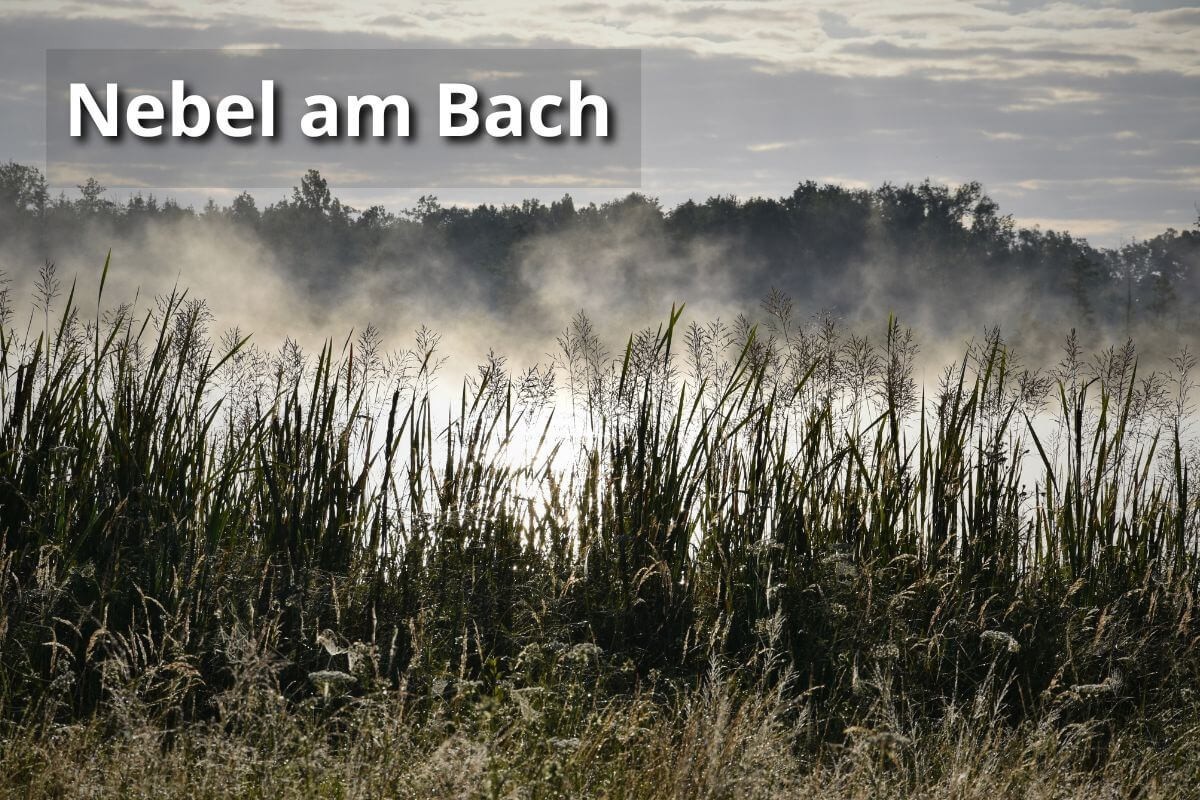 Nebelstimmung