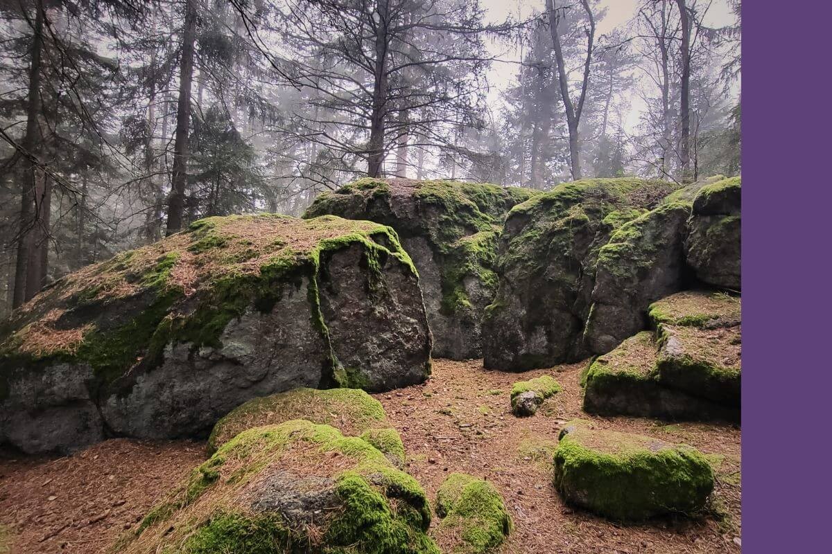 Steinerne Stube Skorpionschatten