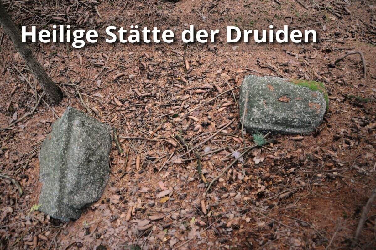 Feinasberg