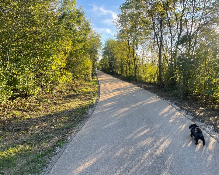 Radweg Wald Wassergebundenen Decke Vorderer Ybbstalradweg Gehweg