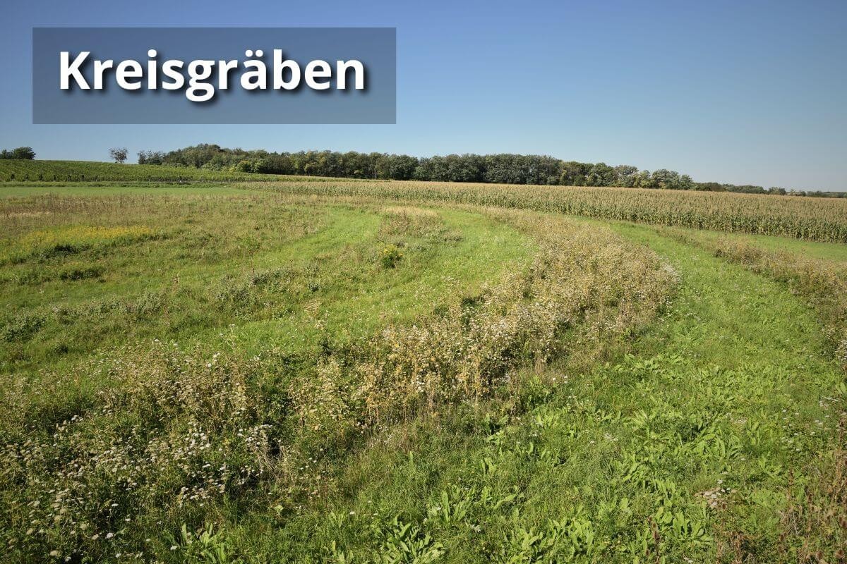 Kreisgräben: Bepflanzung