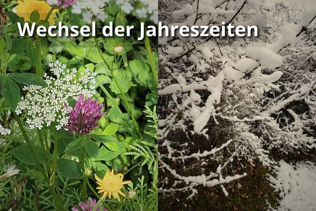 Wechsel der Jahreszeiten