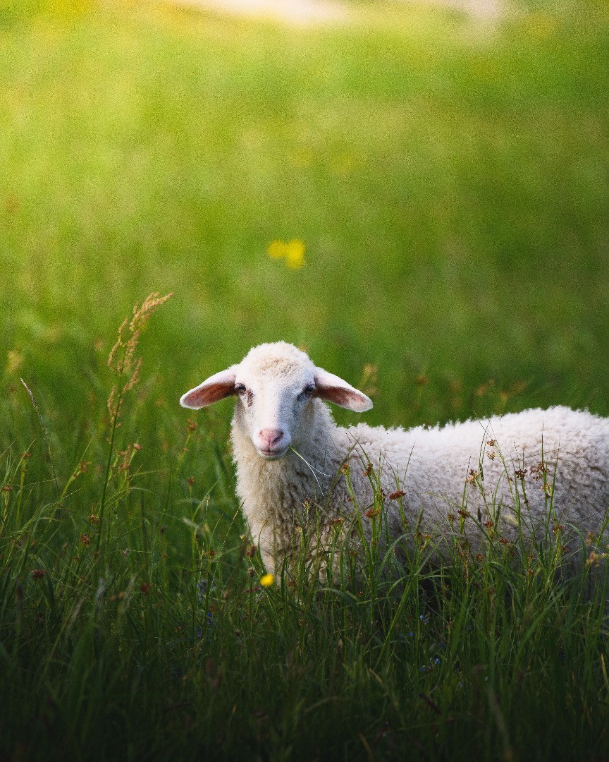luke-stackpoole-698661-unsplash.jpg