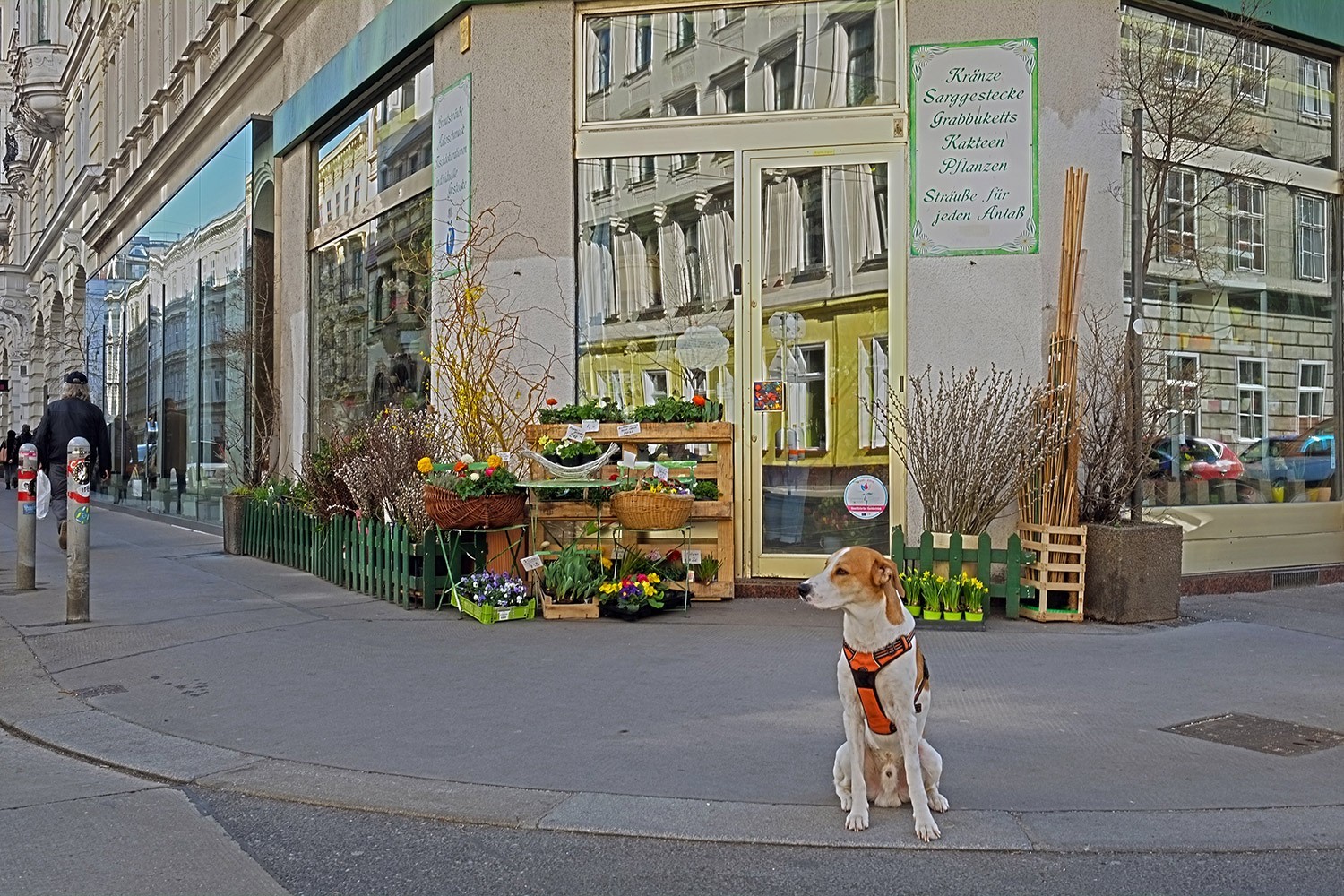 rooming-rebels_westbahnstraße_wien_vienna_2019_Blumen-Brigitte.jpg