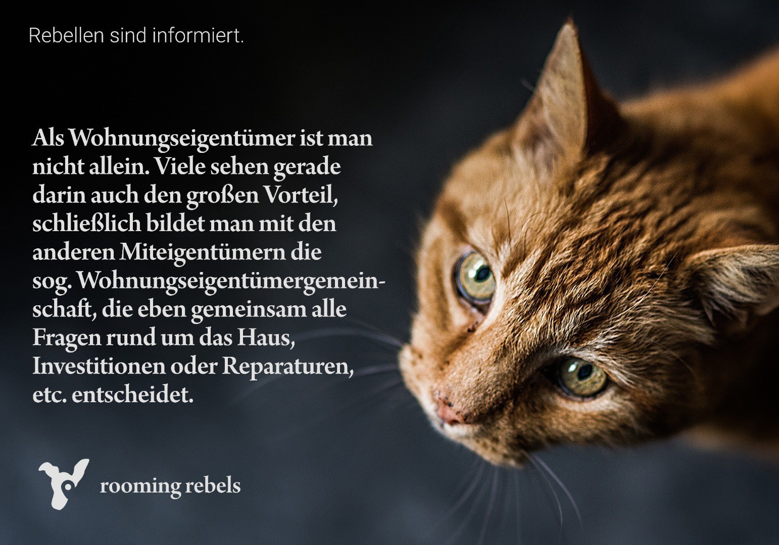 rebellen-sind-informiert_mietrecht_2019.02_c.jpg